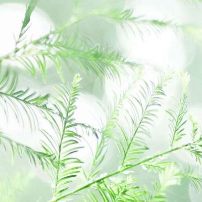 一起来修真玄元剑仙小米手游下载
